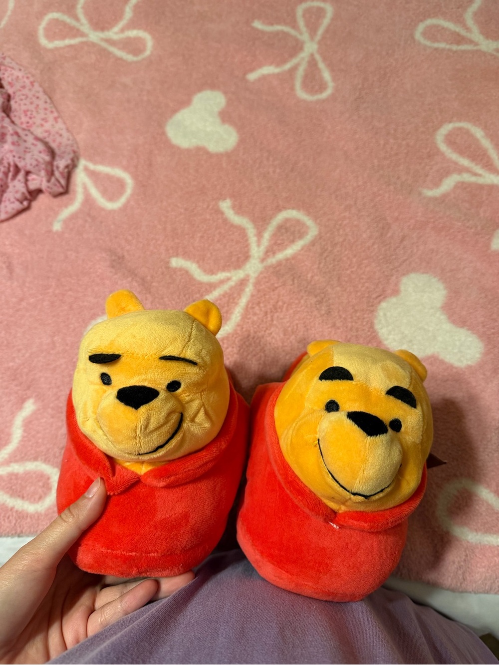 Winnie the Pooh Slippers